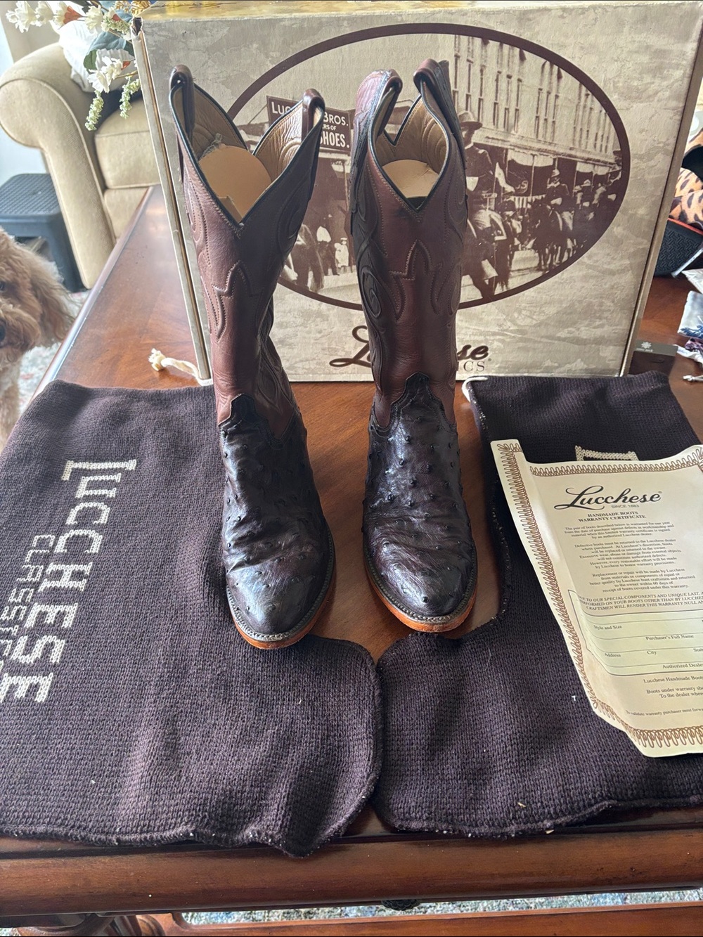Lucchese Brown Ostrich & Dark Brown Leather Western Boots